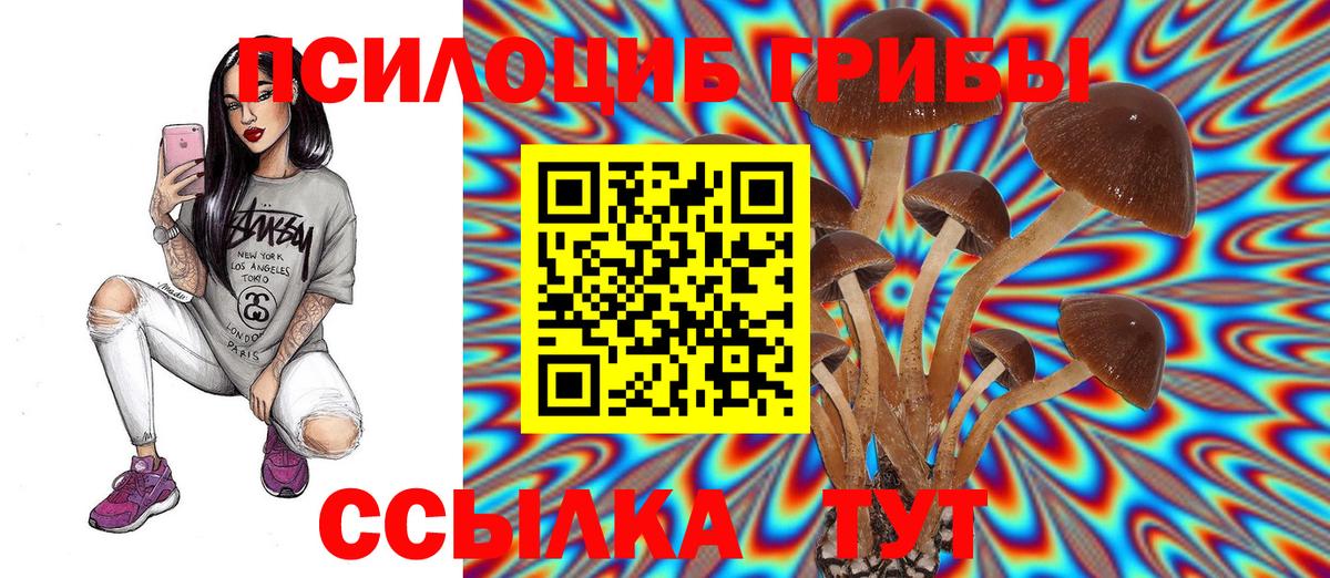 Дербент  Галлюциногенные грибы Magic Shrooms  Вход с VPN  Галлюциногенные грибы Psilocybine cubensis 